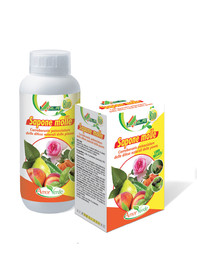 sapone-molle.jpg