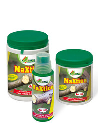 maxtice.jpg