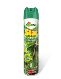 star.jpg