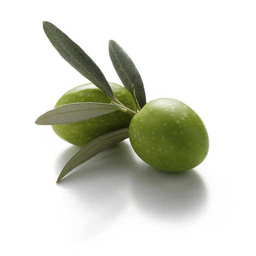 Olivo - Orto e Frutta
