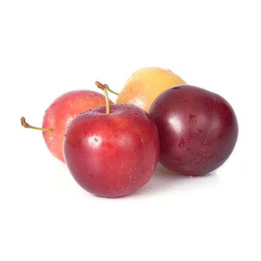 Susino - Orto e Frutta
