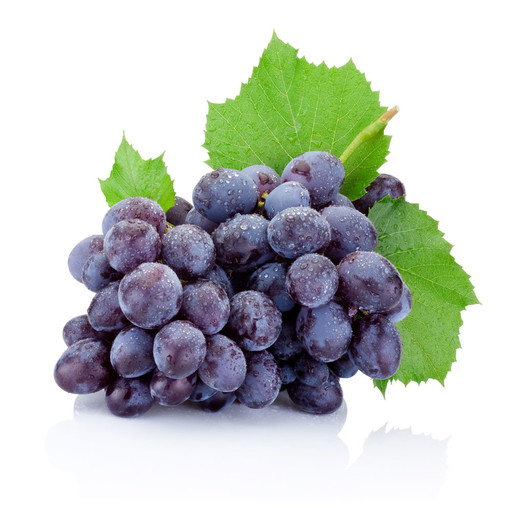 Vite - Orto e Frutta Vite - Orto e Frutta