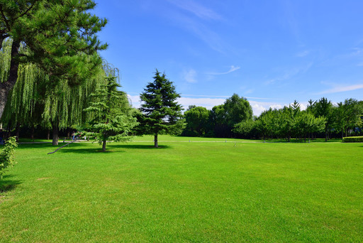 Cura del tappeto erboso - Manto Erboso Cura del tappeto erboso - Manto Erboso