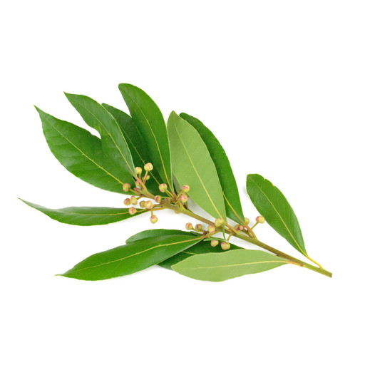 Aromatiche - Orto e Frutta Aromatiche - Orto e Frutta