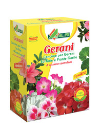 gerani.jpg
