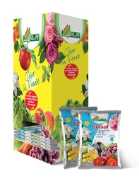 container 2686 ita
