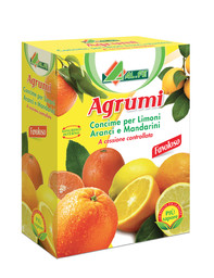 agrumi.jpg