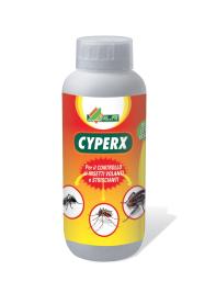 CYPERX.jpg