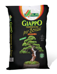 giappo.jpg