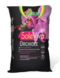 solevivo-orchidee.jpg