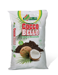 cocco bello.jpg
