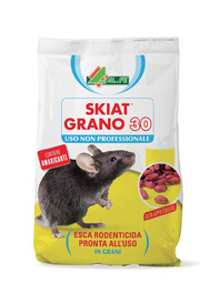 SKIATGRANO30.jpg