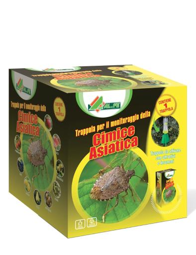 ATTRATTIVO TRAPPOLA CIMICE ASIATICA - Difesa naturale ATTRATTIVO TRAPPOLA CIMICE ASIATICA - Difesa naturale