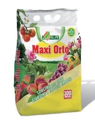 maxi-orto.jpg