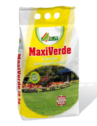 maxi-verde.jpg