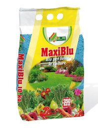 maxi-blu.jpg