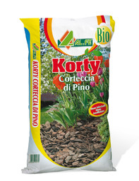 korty.jpg